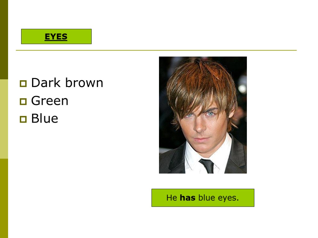 Dark brown Green Blue He has blue eyes. EYES